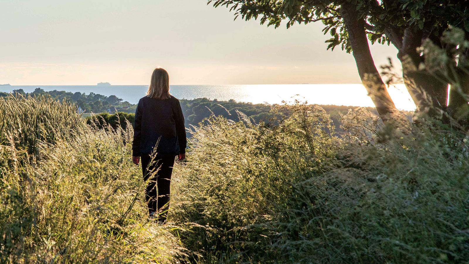 Højderygstien | Vandresti | Vandreruter | Vandreture | Odsherred | Sjælland | Danmark | UNESCO Global Geopark Odsherred
