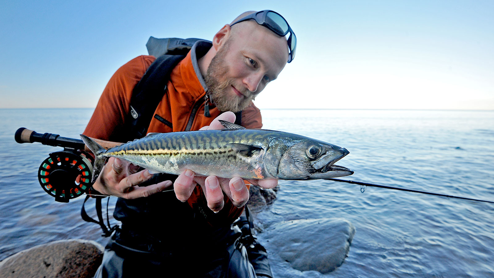 Lystfiskeri | Fiskepladser | Fiskesteder | Odsherred | Sjælland | Danmark