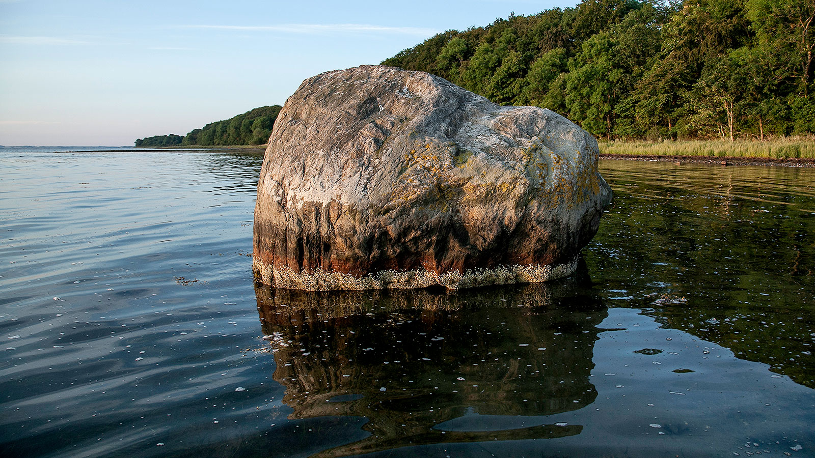 Lommestenen | Odsherred | Stokkebjerg Skov | Gnejs | Vandresten