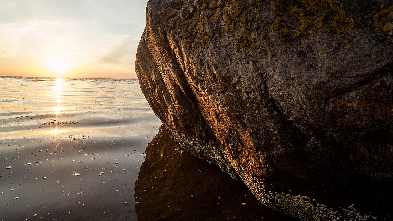 Lommestenen | Odsherred | Stokkebjerg Skov | Gnejs | Vandresten