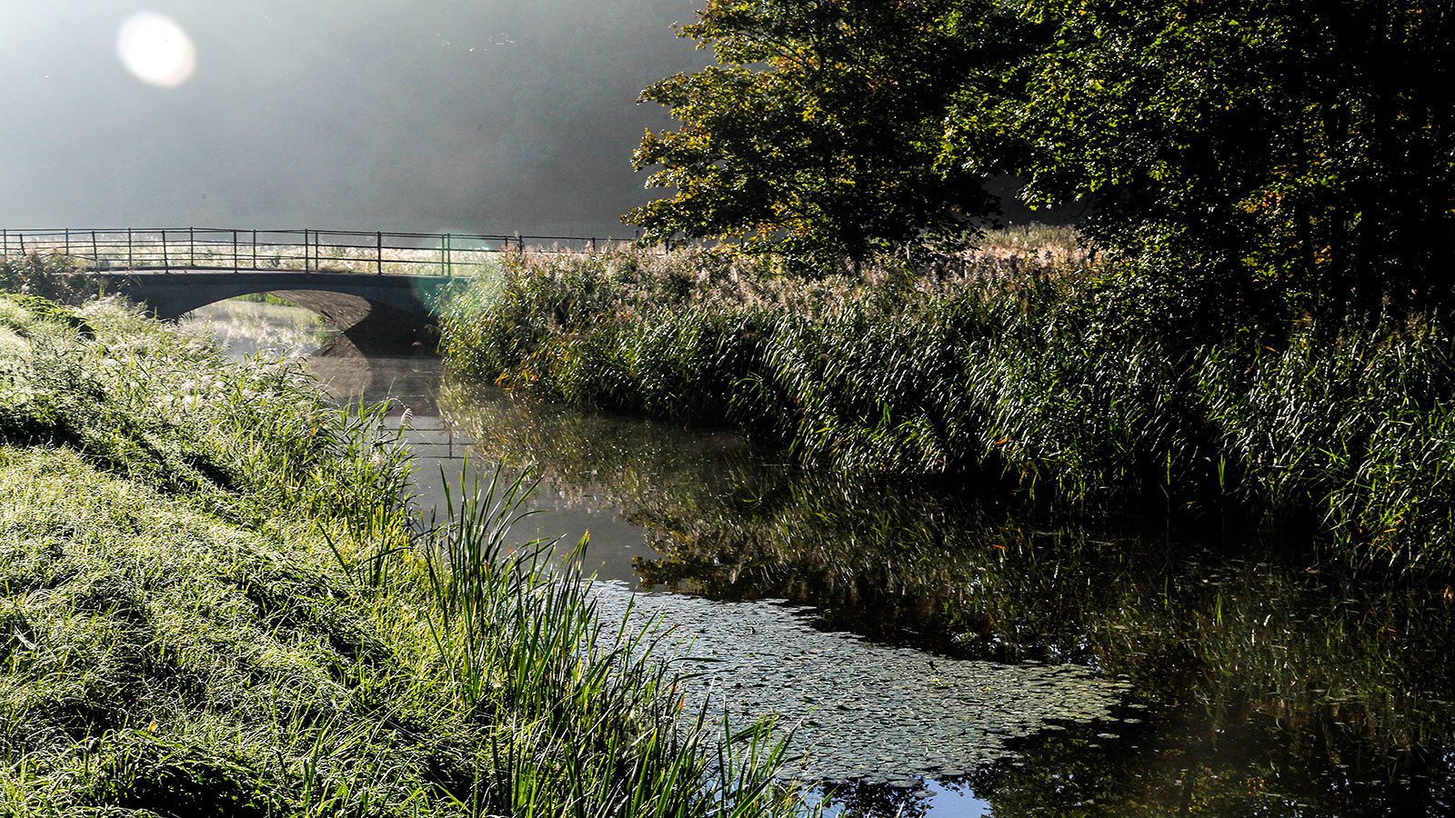 Lystfiskeri | Lammefjordskanalerne | Odsherred | Sjælland | Danmark