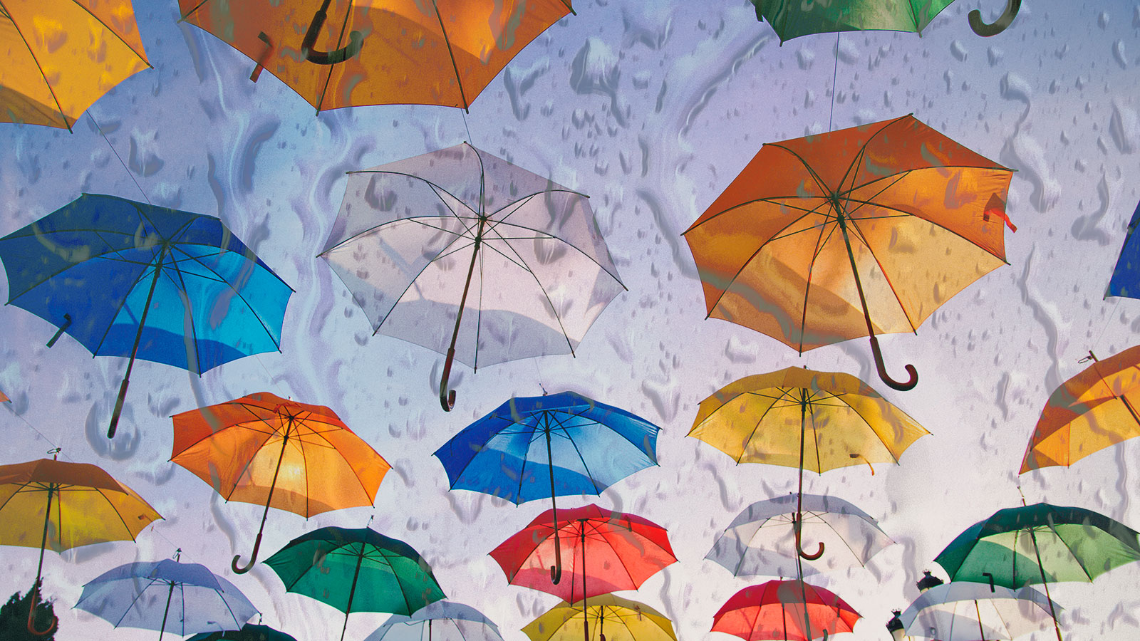 Regnvejrsaktiviteter i Odsherred | Guide