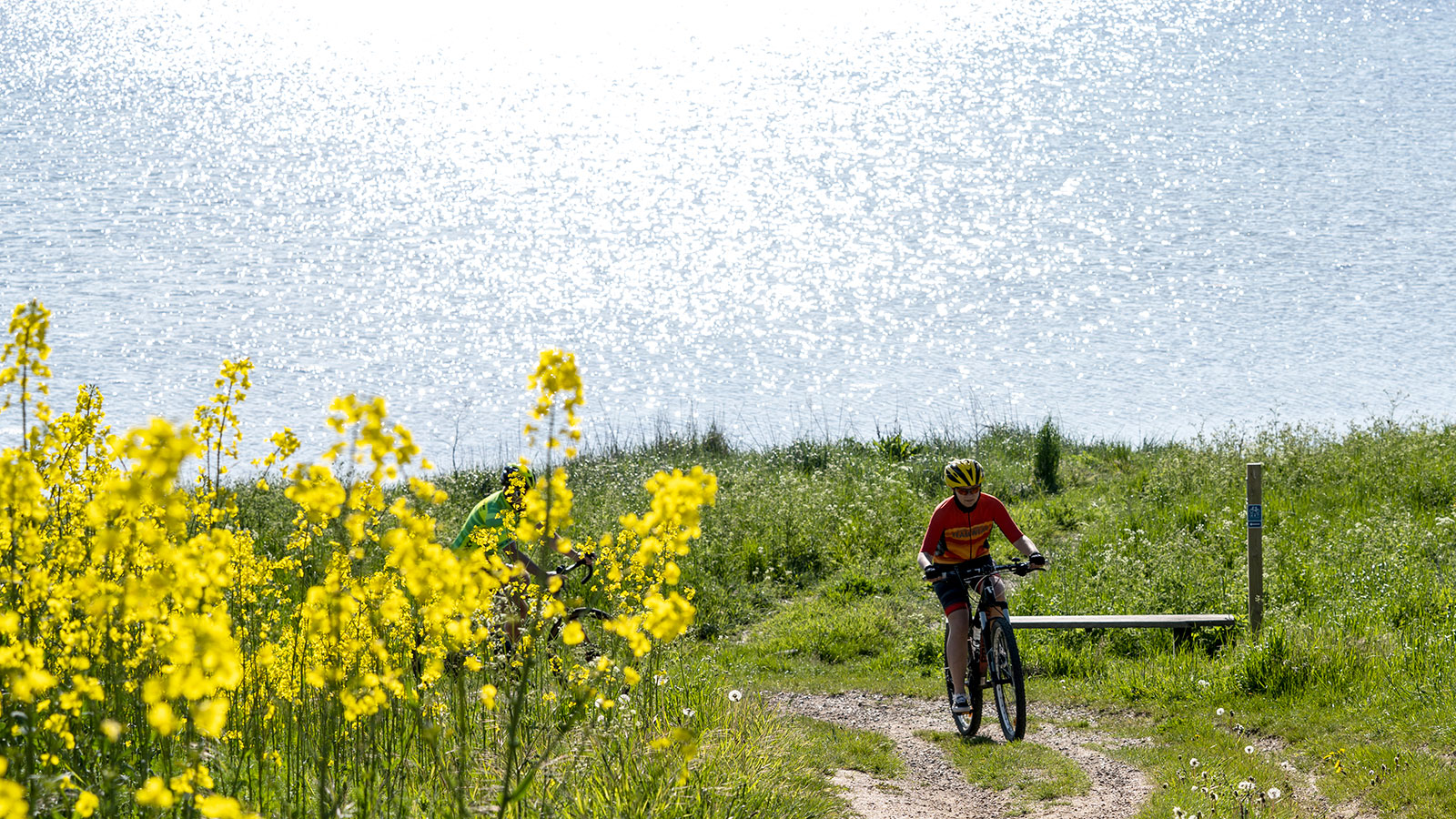 DGI | Oplevelsesture på cykel | Odsherred | Sjaelland | Danmark