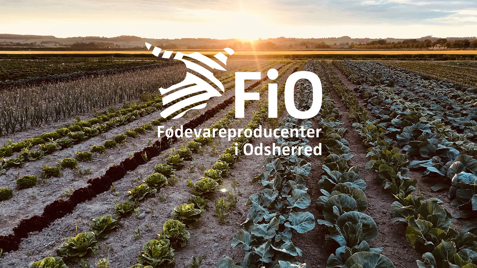 FiO | Fødevareproducenter i Odsherred | Sjælland | Danmark