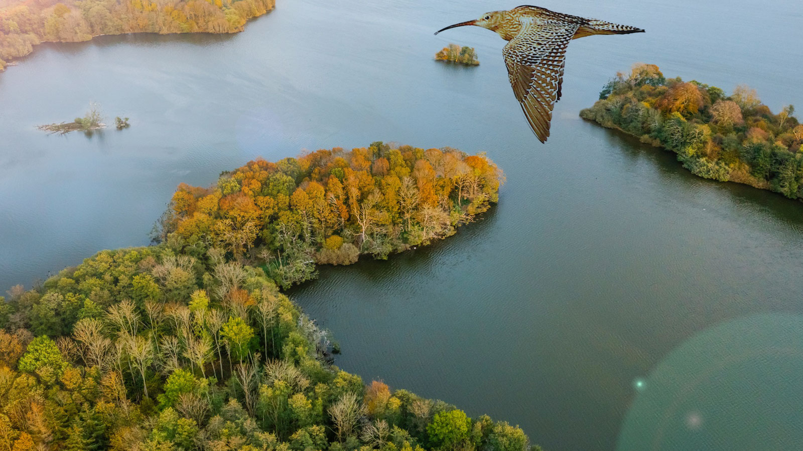 Naturpark Åmosen | Naturområde | Ture & udflugter