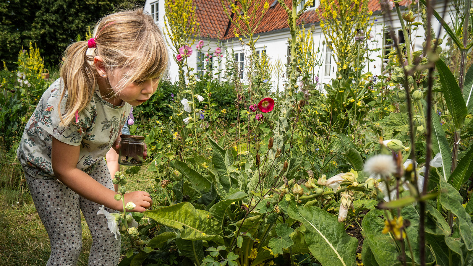 Malergården | Sigurd Swane | Swanernes kunstnerhjem | Agnete Swane | Gerda Swane | Henrik Swane | Familien Swane | Plejerup | Odsherred