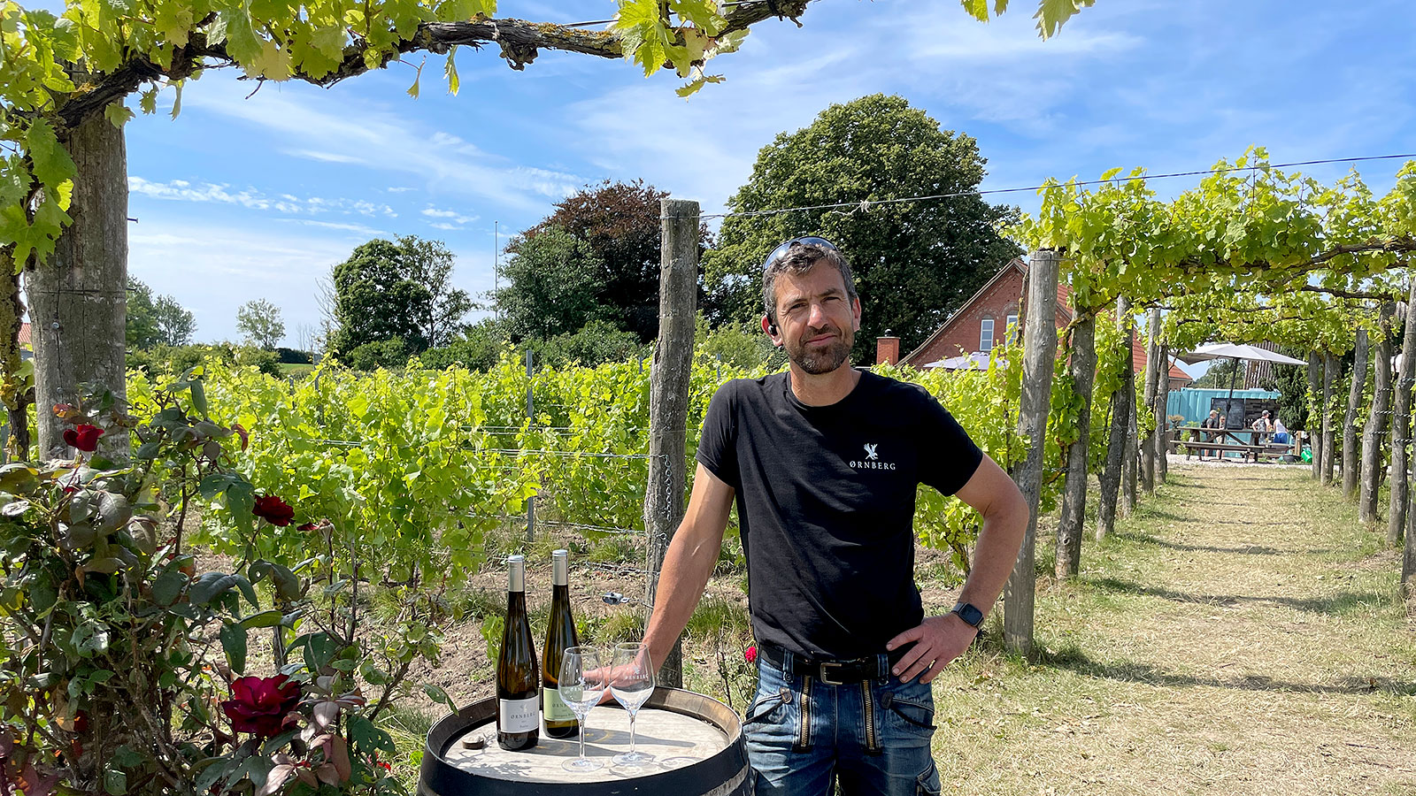 Ørnberg Vin | Hvidvin | Dessertvin | Mousserende vin | Årets Vinbonde 2014 | Vingård | Danmarks bedste vingård