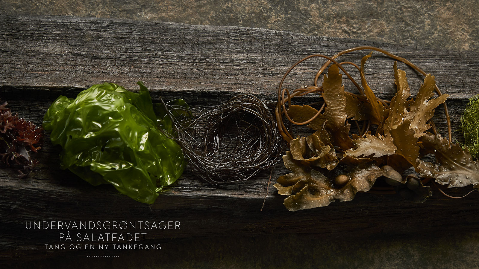 Bogserie | Gastronomiske oplevelser i Geopark Odsherred | MOTA's fortolkninger