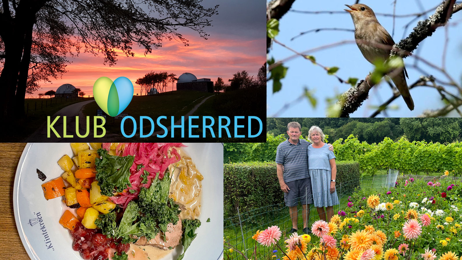 Klub Odsherred | Oplevelser