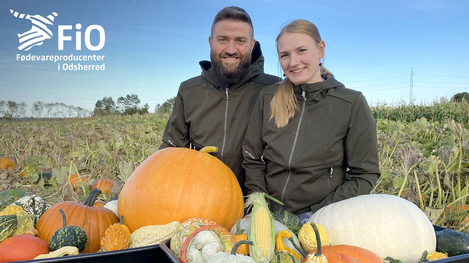 Broholm Lammefjorden | Græskar | Odsherred | Sjælland | Danmark