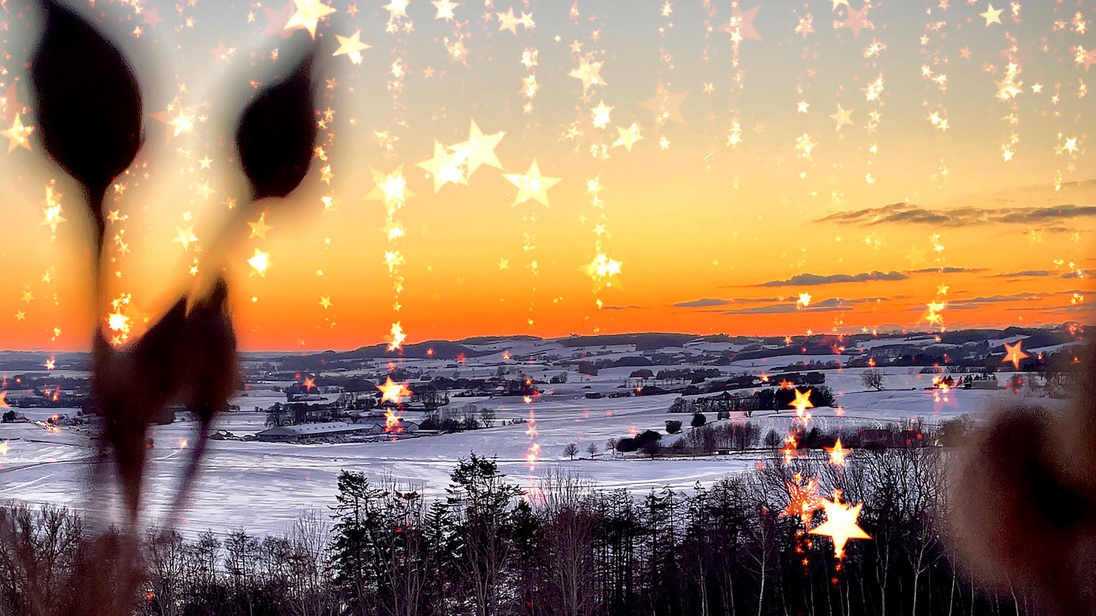 Jul i Odsherred | 2025 | Julemarkeder | Julestuer | Juleaktiviteter | Julehygge | Julebasarer | Juletræet tændes | Sjælland | Danmark