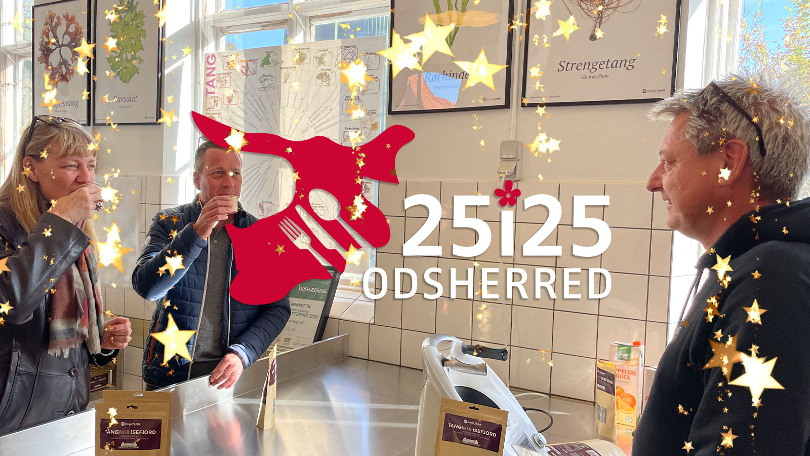 25i25 | Logo | Download | Markedsføring | Odsherred | Sjælland | Danmark