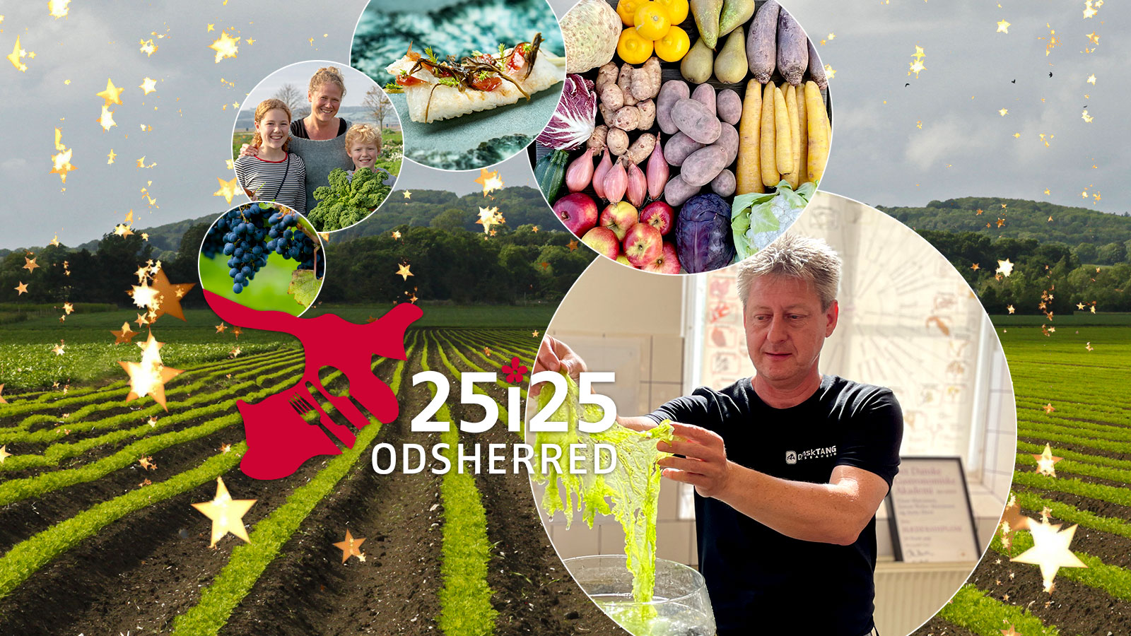 25i25 | Gastronomi | Smagsoplevelser | Råvarer | Odsherred | Sjælland | Danmark