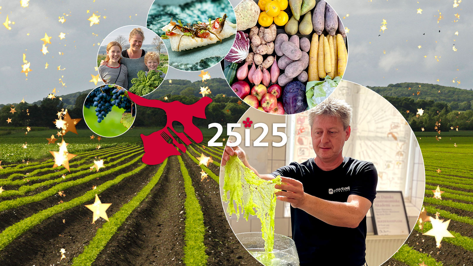 25i25 | Gastronomi | Smagsoplevelser | Råvarer | Odsherred | Sjælland | Danmark