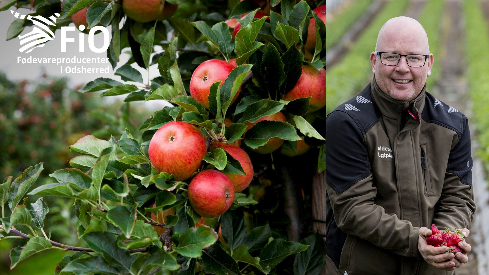 Frugtplantagen DK | Fødevareproducenter i Odsherred | Sjælland | Danmark