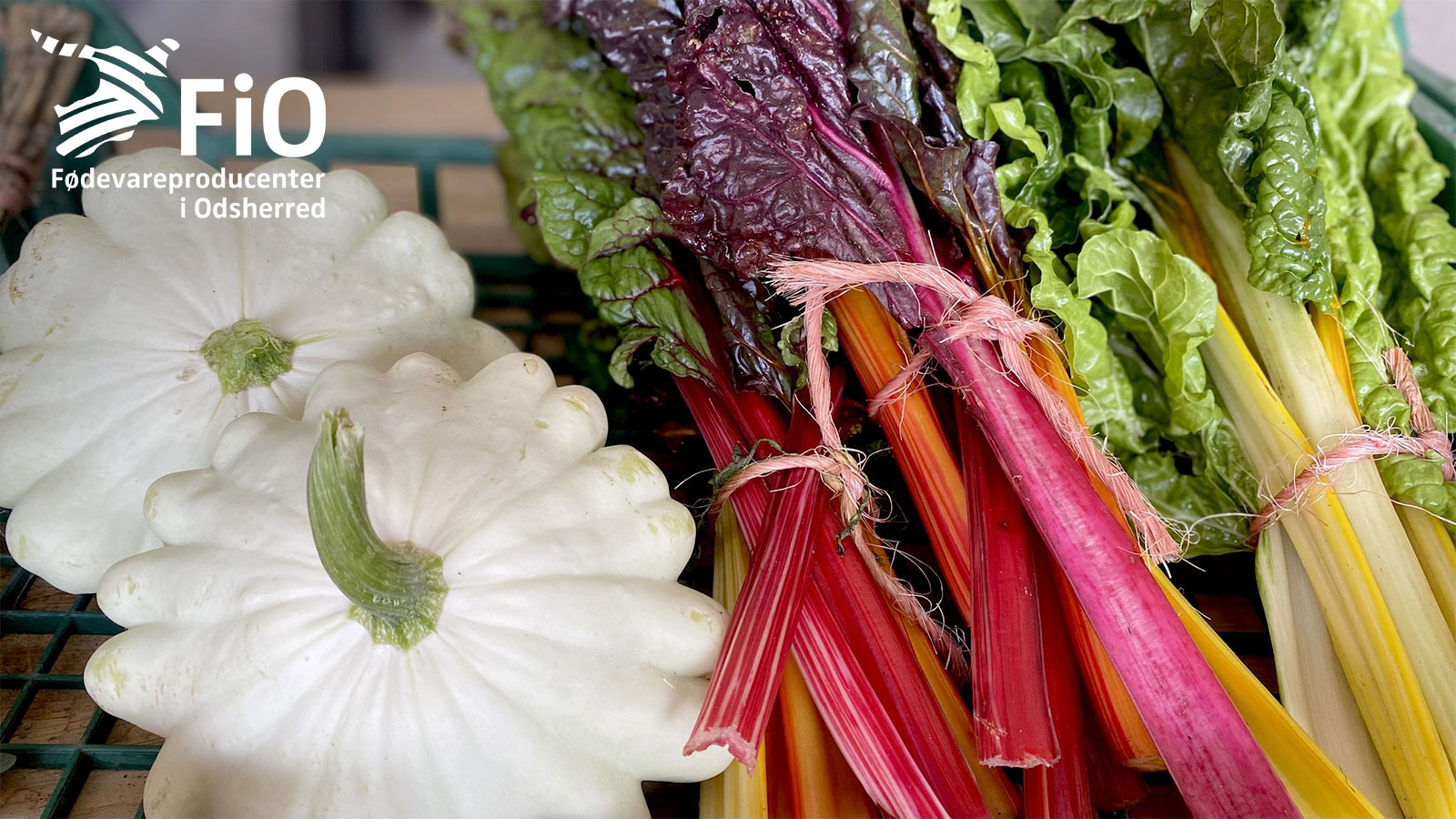 Kildegaarden i Nakke | Fødevareproducenter i Odsherred | Sjælland | Danmark