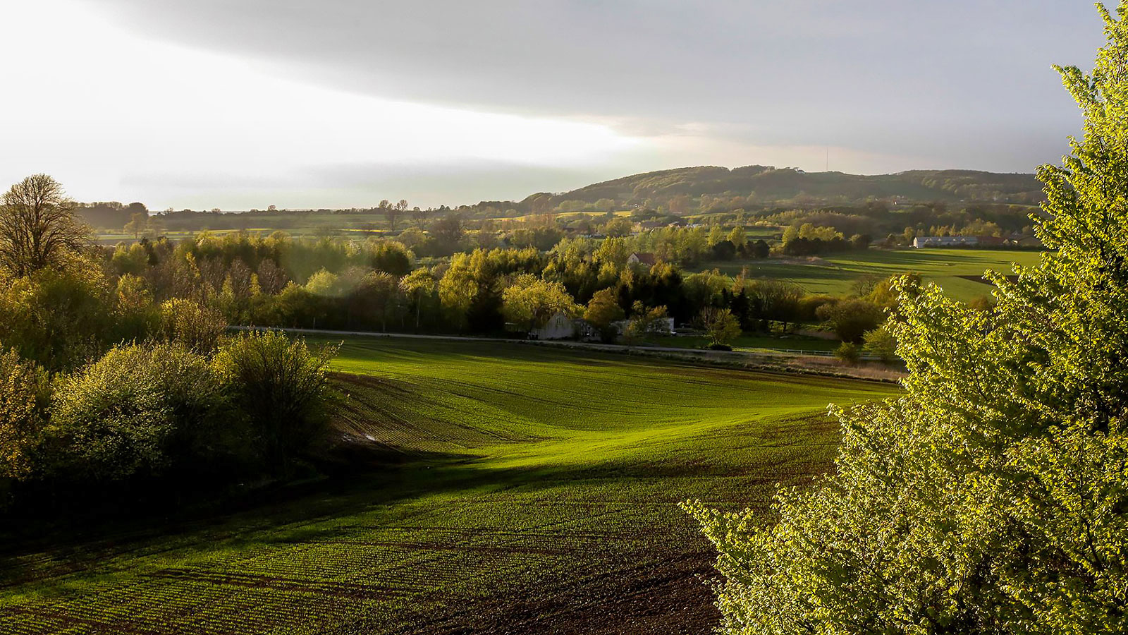VisitOdsherred | Turistinformation | Nykøbing Sjælland