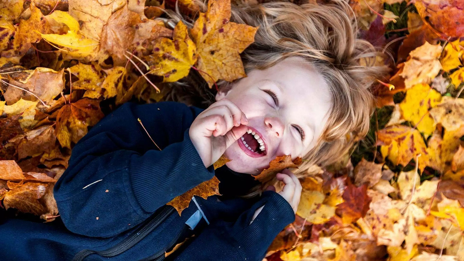 Alt for Damerne | Inspiration til en familievenlig uge 42