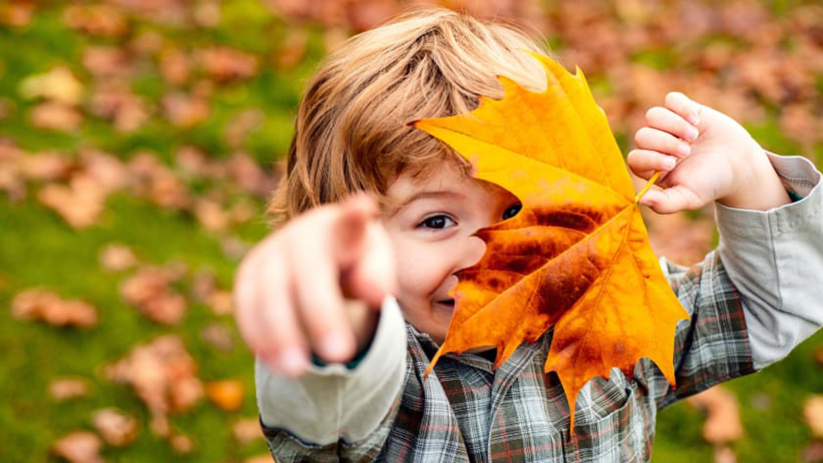 Børn i Byen | Guide til efterårsferien | 2025