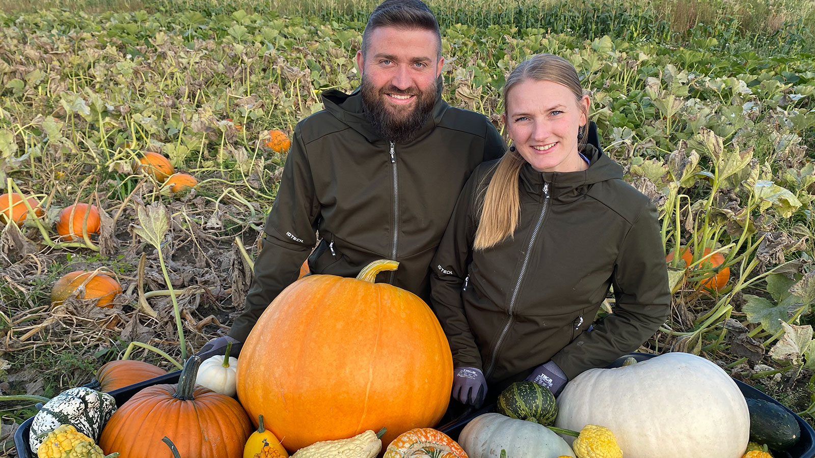 Græskardage | Familieaktivitet | Uge 42 | Efterårsferien 2025 | Odsherred | Sjælland | Danmark