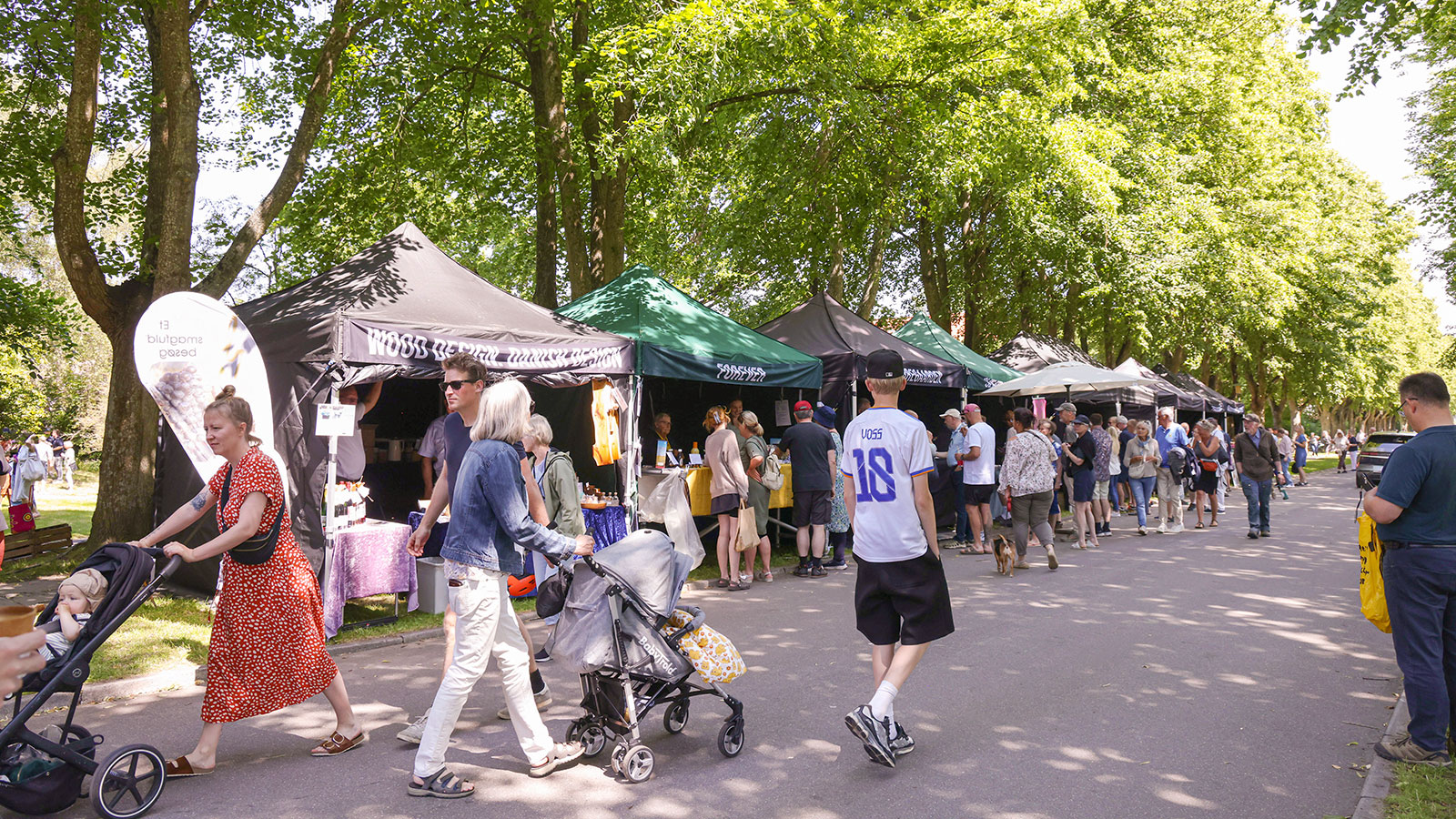 Turismens økonomiske betydning i Odsherred