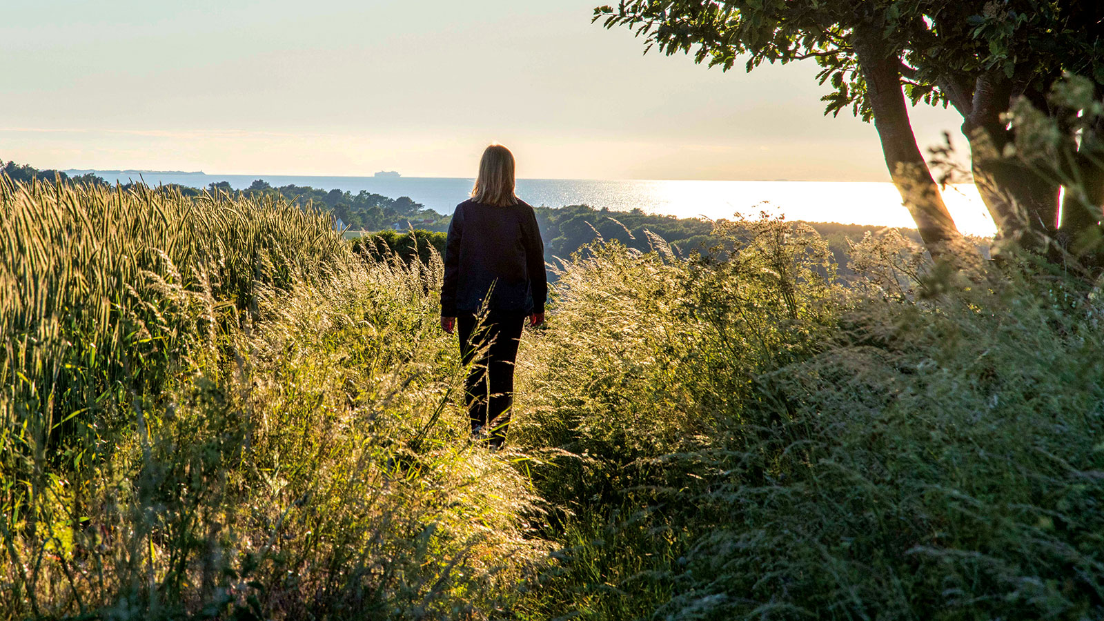 Velvære | Krop og sind | Guide | Behandling | Odsherred | Sjælland | Danmark