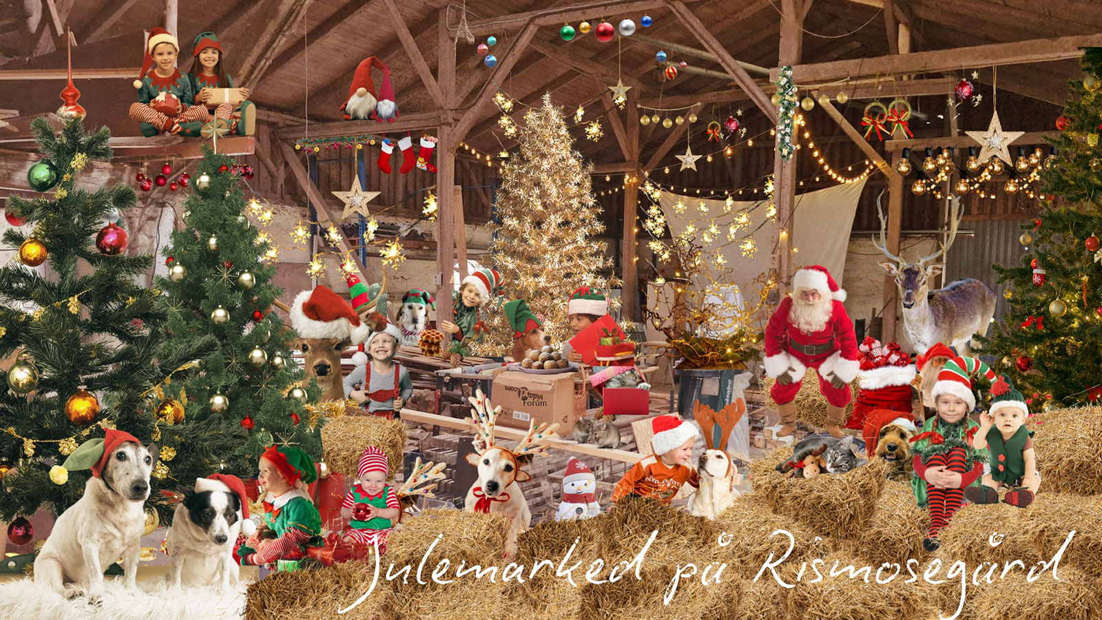 Rismosegård | Julemarked | 2025 | Høve | Odsherred | Sjælland | Danmark
