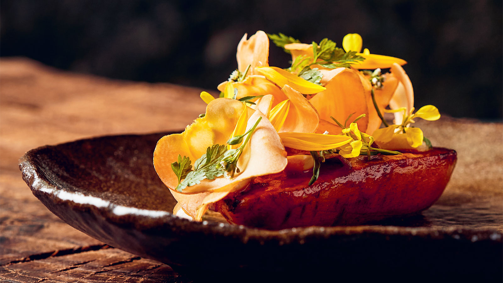 Bog | Gastronomiske oplevelser i Geopark Odsherred | MOTA's fortolkninger | Bind 2