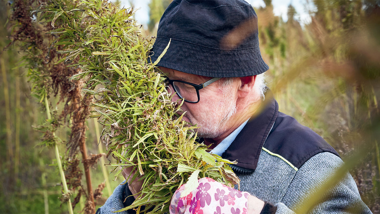 Bog | Gastronomiske oplevelser i Geopark Odsherred | MOTA's fortolkninger | Bind 2